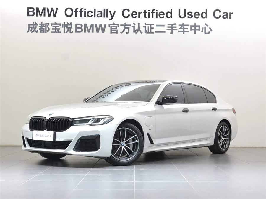 BMW 5 Series New Energy 2021 car image #2