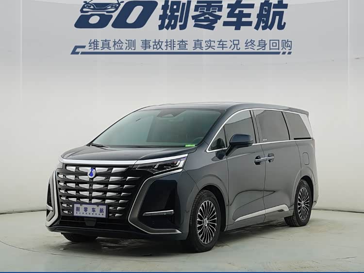 Denza D9 2023 car image #2