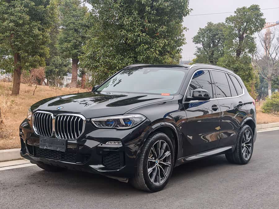 BMW X5 (Imported) 2020 car image #2