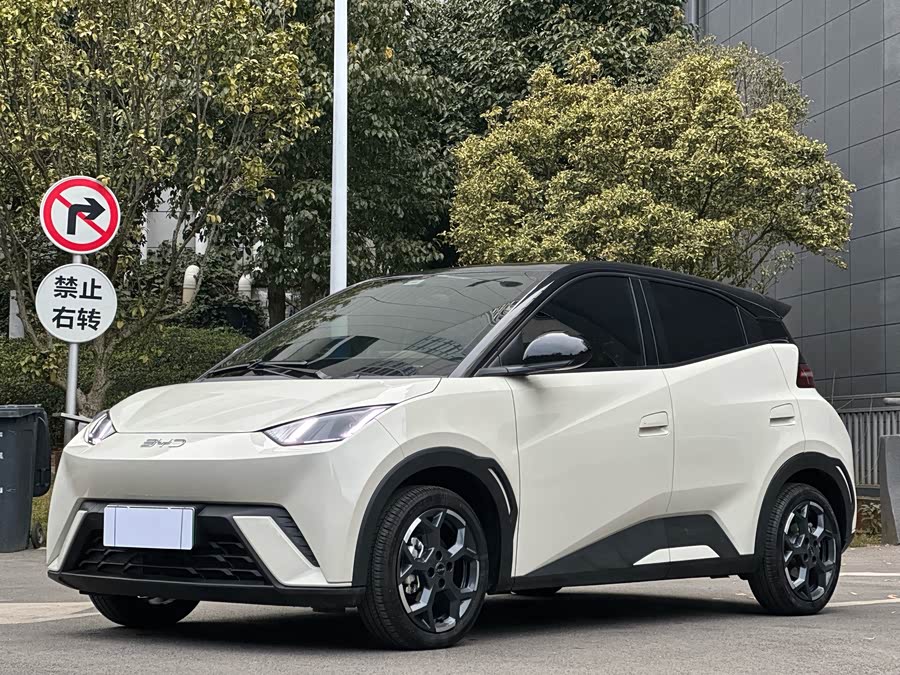 BYD Seagull 2024 #2 BYD Seagull 2024 صورة سيارة #2