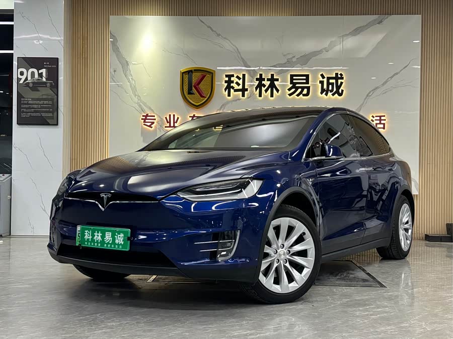 Tesla Model X 2021 #2 Tesla Model X 2021 car image #2