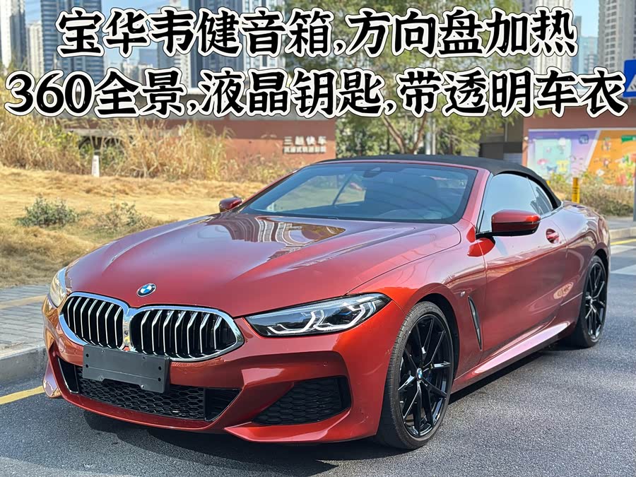 BMW 8 Series 2020 #2 BMW 8 Series 2020 car image #2