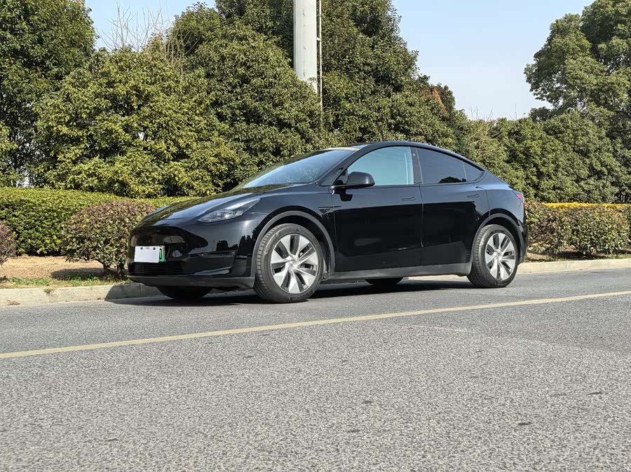 Tesla Model Y 2021 car image #2