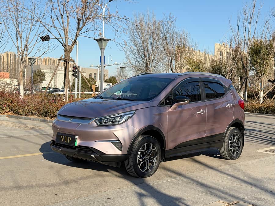 BYD Yuan Pro 2023 car image #2