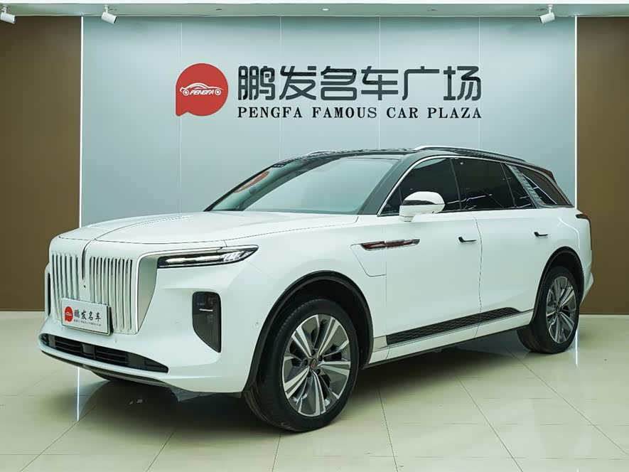 HongQi E-HS9 2022 immagine di auto #2