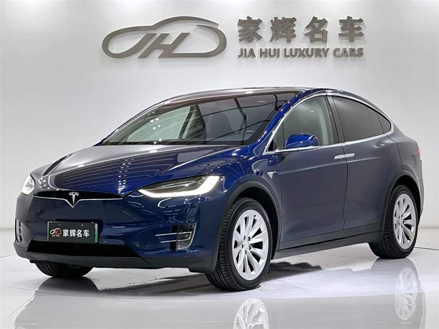 Tesla Model X 2018 car image #2