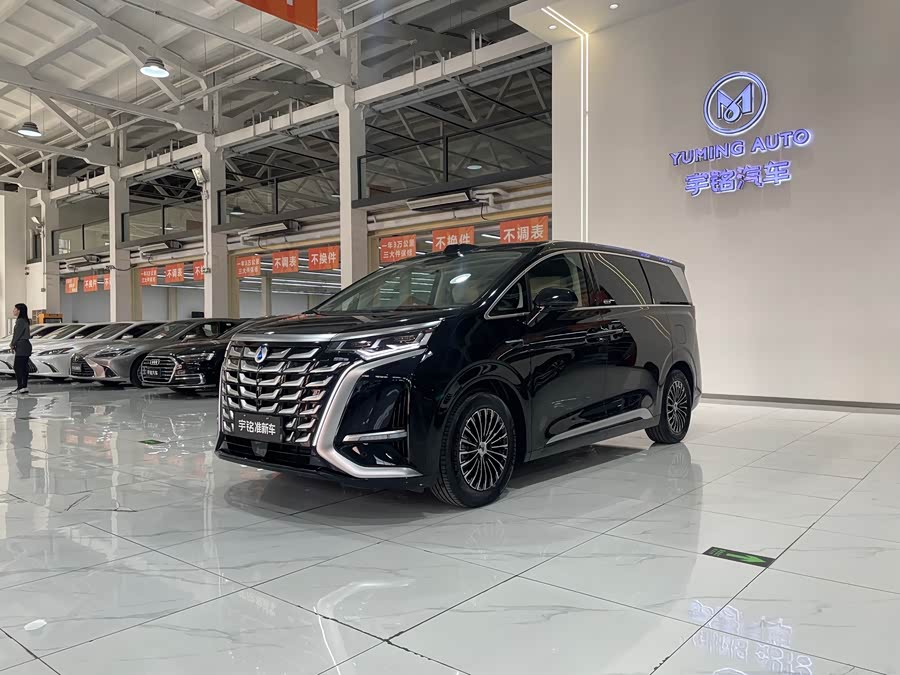 Denza D9 2025 imagen de coche #2