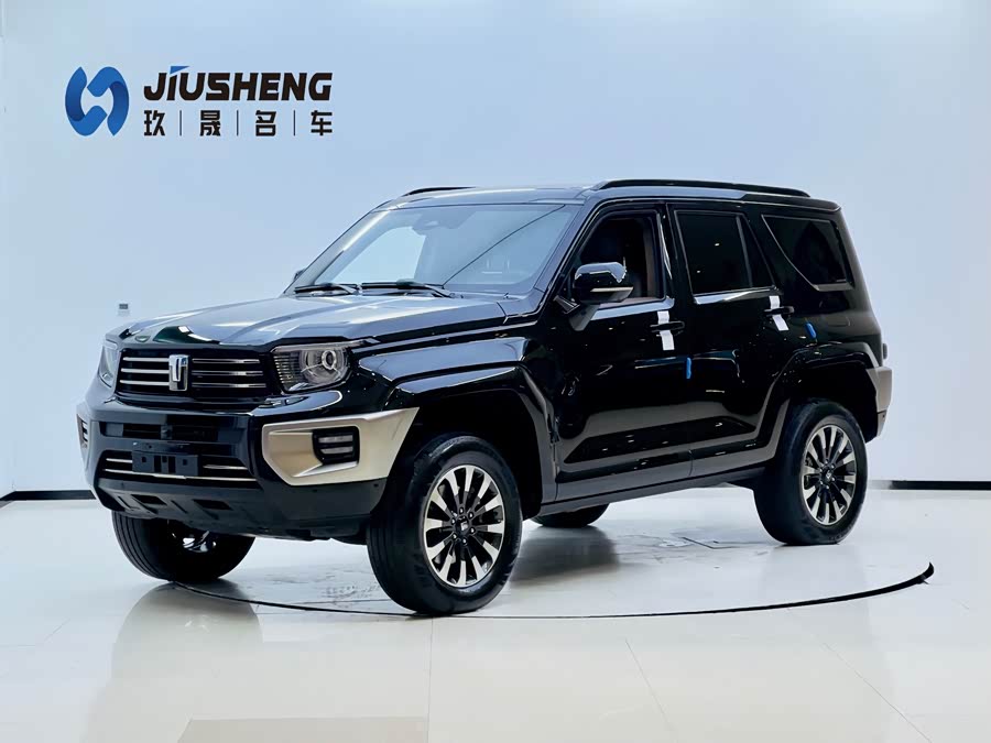 Tank 700 New Energy 2024 car image #2