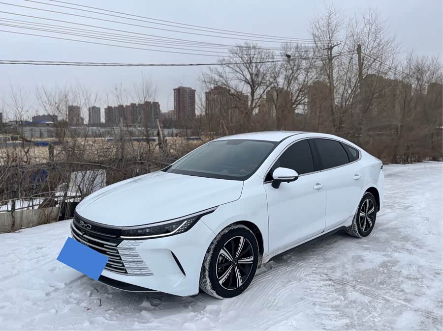 比亚迪 驱逐舰05 2024 汽车图片 #2