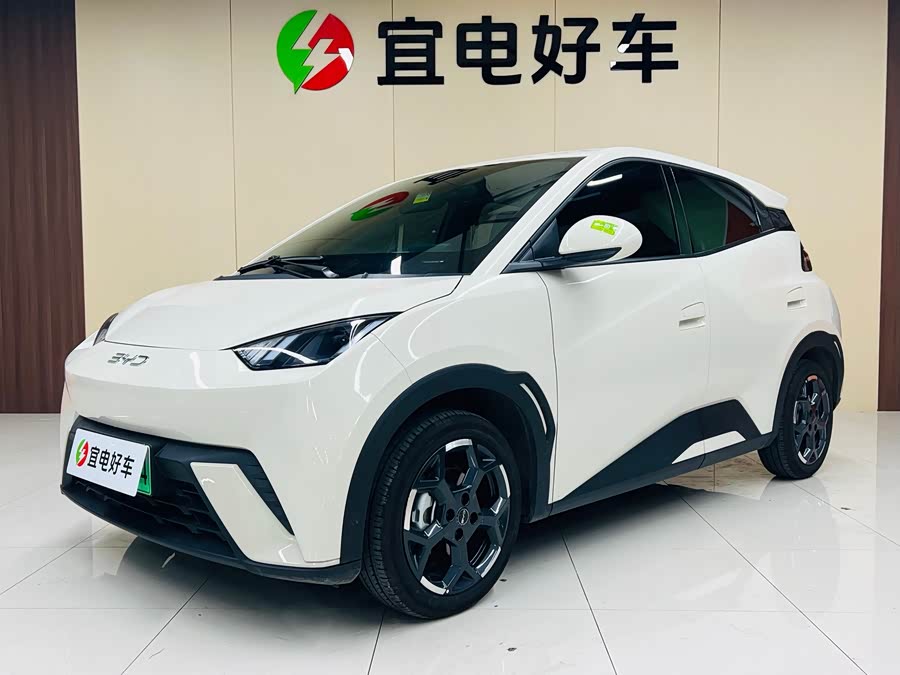 BYD Seagull 2024 imagen de coche #2