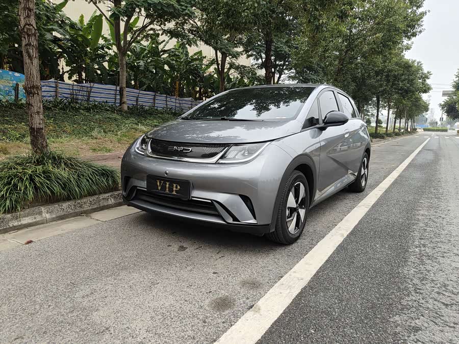 BYD Dolphin 2023 imagem de carro #2