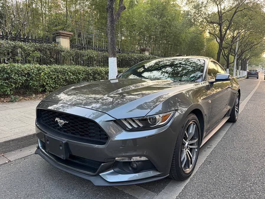Ford Mustang 2017 #2 Ford Mustang 2017 car image #2