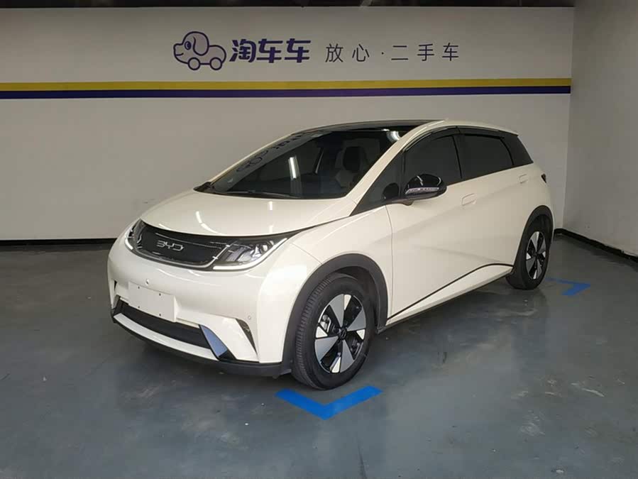 BYD Dolphin 2024 imagem de carro #2