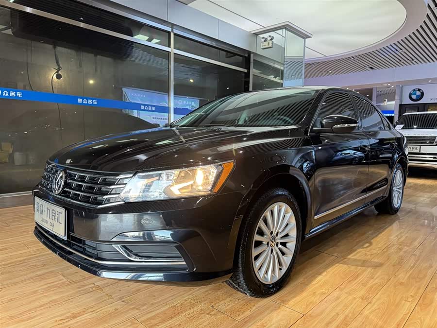 大众 Passat 2010 汽车图片 #2