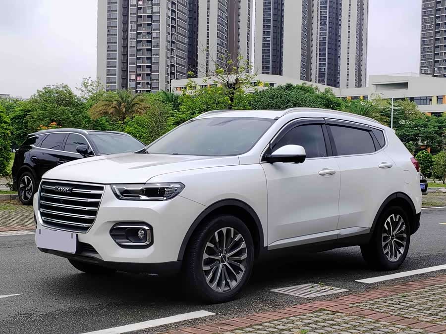 Haval H6 2019 car image #2