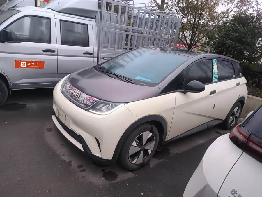 BYD Dolphin 2023 #2 BYD Dolphin 2023 immagine di auto #2