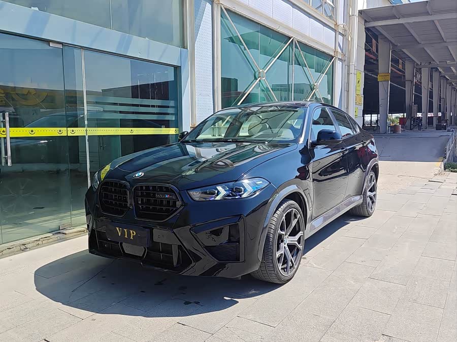 BMW X6 2009 #2 BMW X6 2009 car image #2