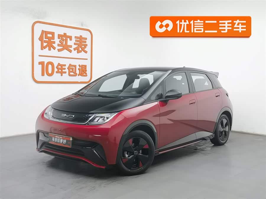 BYD Dolphin 2024 immagine di auto #2