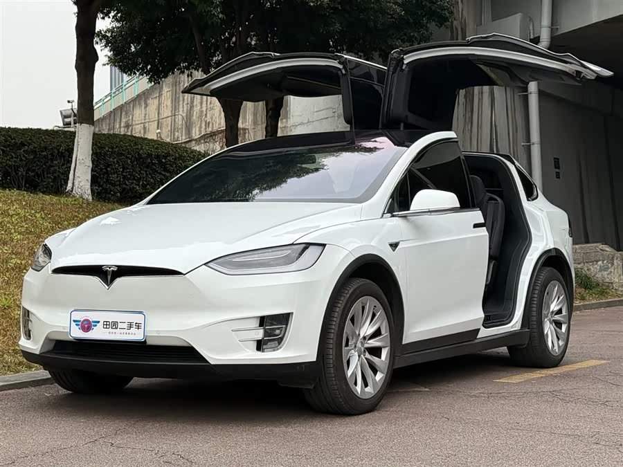 Tesla Model X 2019 car image #2