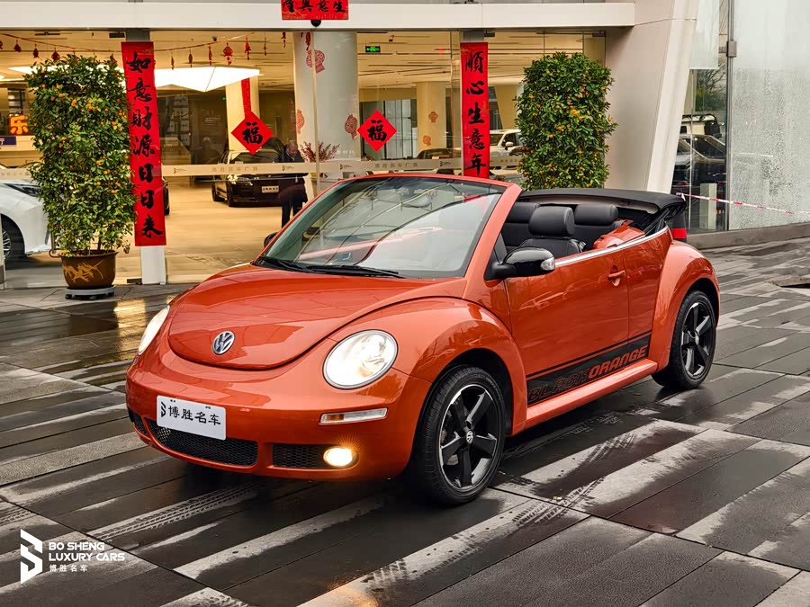 Volkswagen Beetle 2010 immagine di auto #2