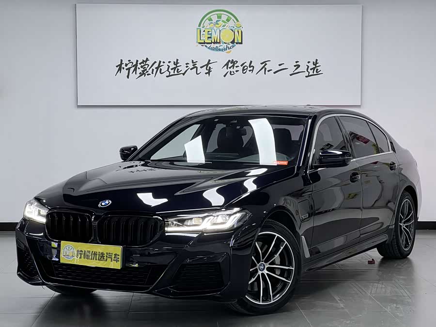 BMW 5 Series New Energy 2021 car image #2
