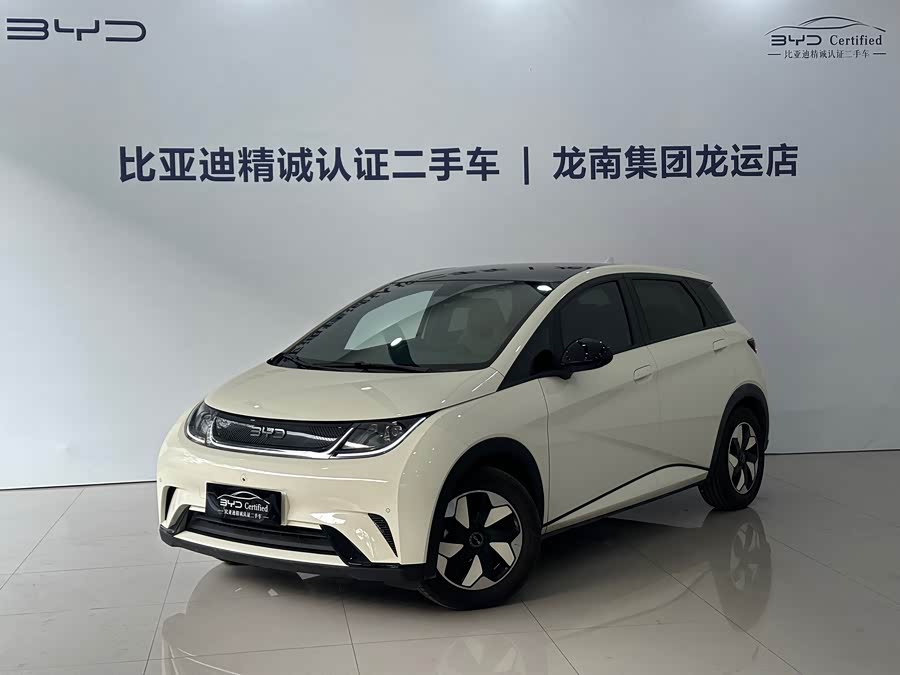 BYD Dolphin 2024 immagine di auto #2
