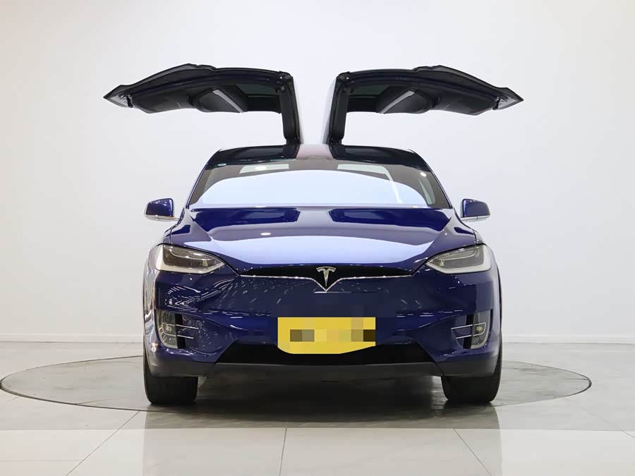 Tesla Model X 2019 immagine di auto #2
