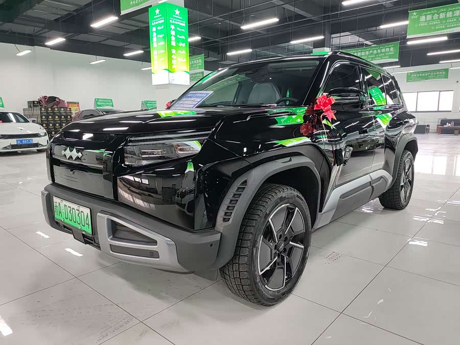 FangChengBao Tiger 3 2025 car image #2