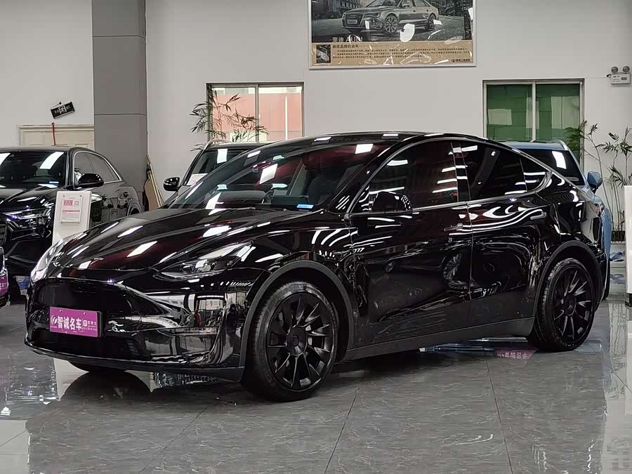 Tesla Model Y 2021 car image #2