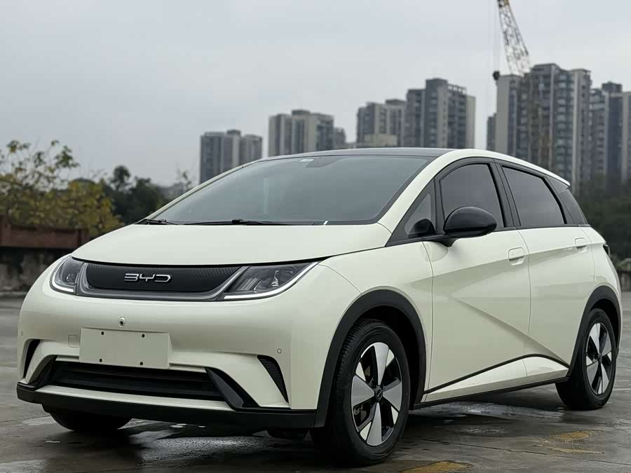 BYD Dolphin 2023 immagine di auto #2