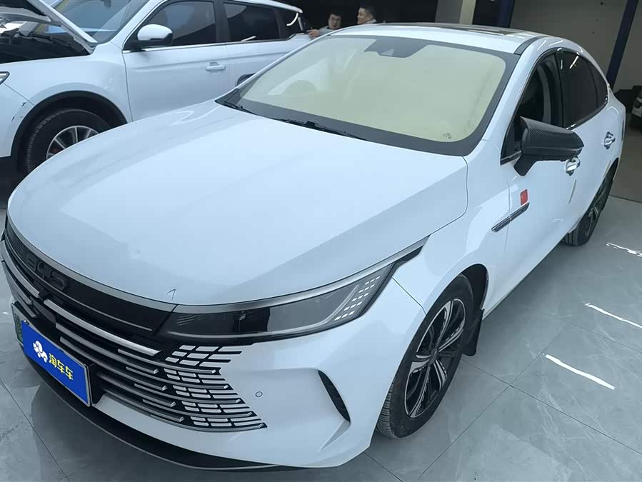 BYD Destroyer 05 2023 immagine di auto #2