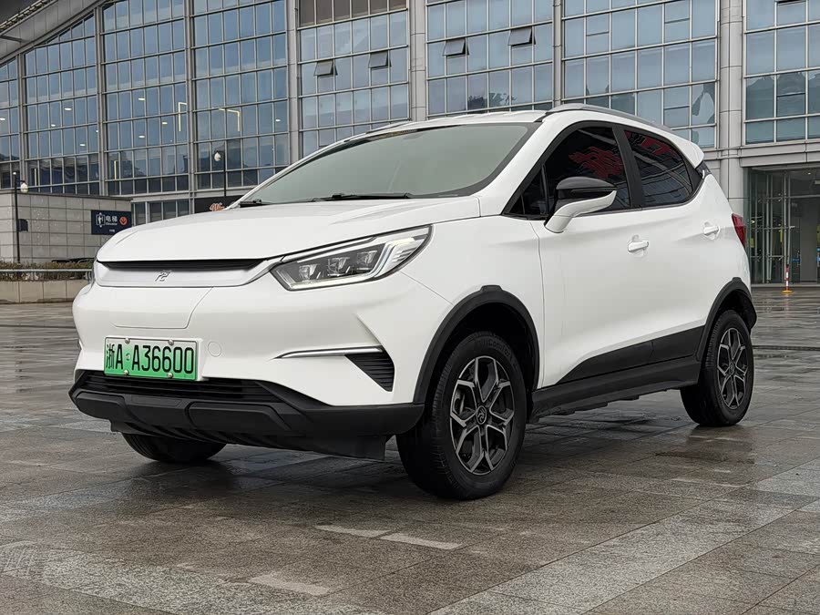 BYD Yuan Pro 2021 car image #2