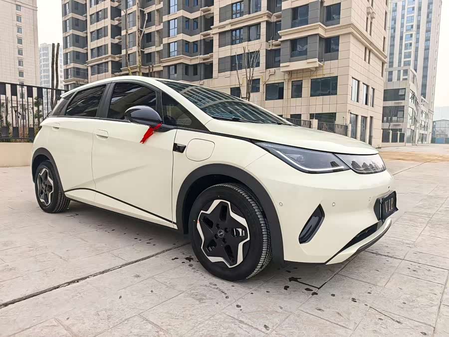 BYD Dolphin 2025 car image #2