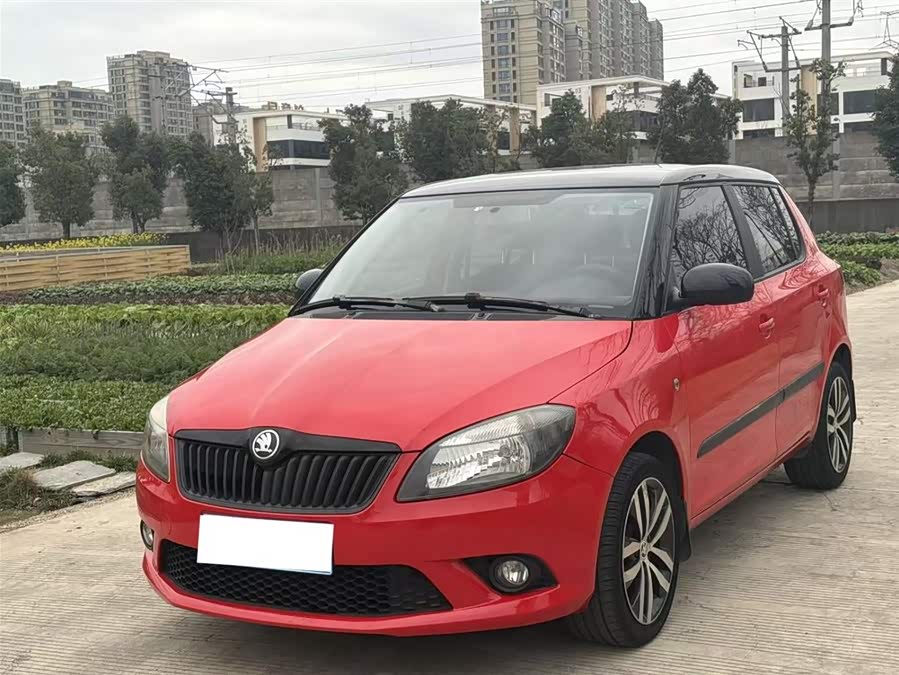 Skoda Fabia 2014 immagine di auto #2