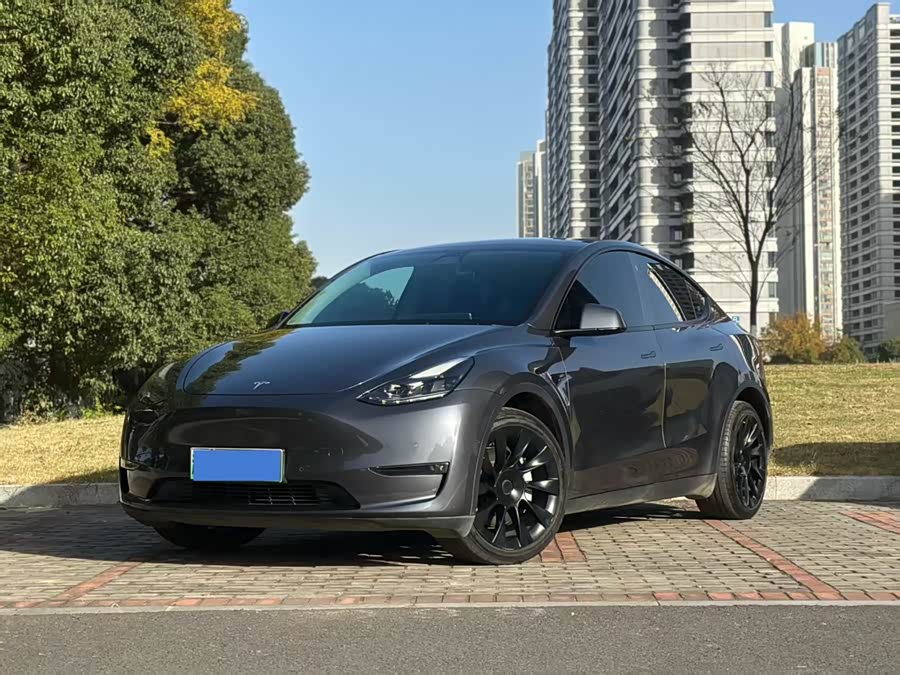 Tesla Model Y 2021 #2 Tesla Model Y 2021 car image #2