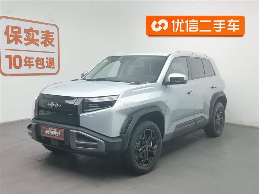 FangChengBao Tiger 3 2025 car image #2