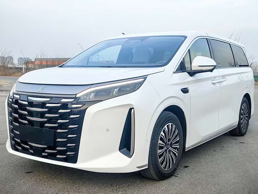 BYD Xia 2025 imagen de coche #2
