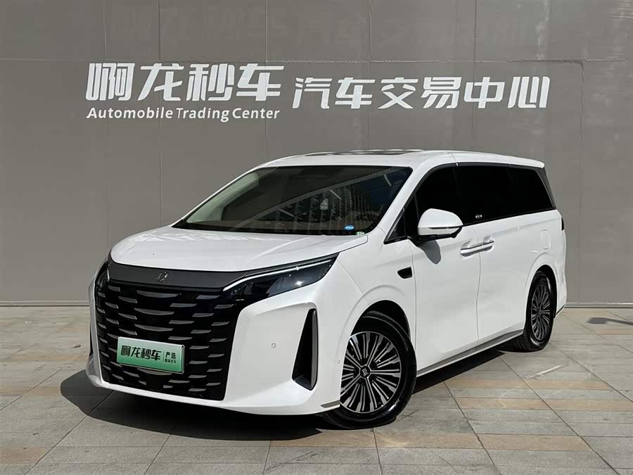 BYD Xia 2024 imagen de coche #2