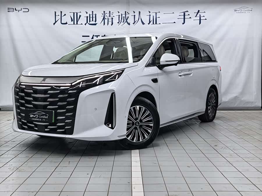 BYD Xia 2024 imagen de coche #2