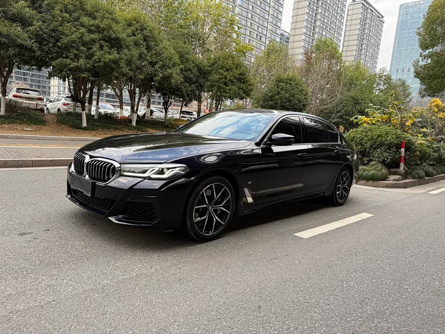 BMW 5 Series 2021 #2 BMW 5 Series 2021 car image #2