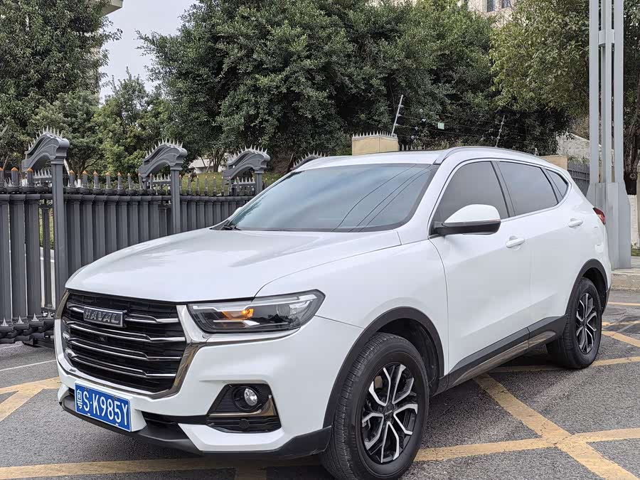 Haval H6 2023 car image #2