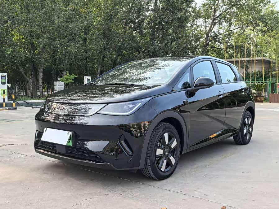 BYD Dolphin 2025 car image #2