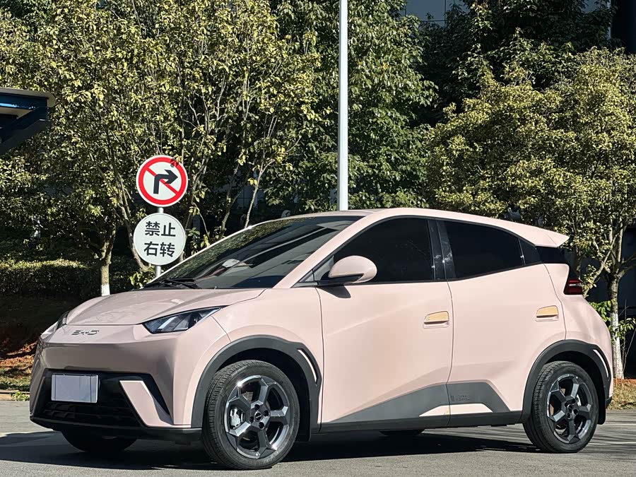 BYD Seagull 2023 car image #2