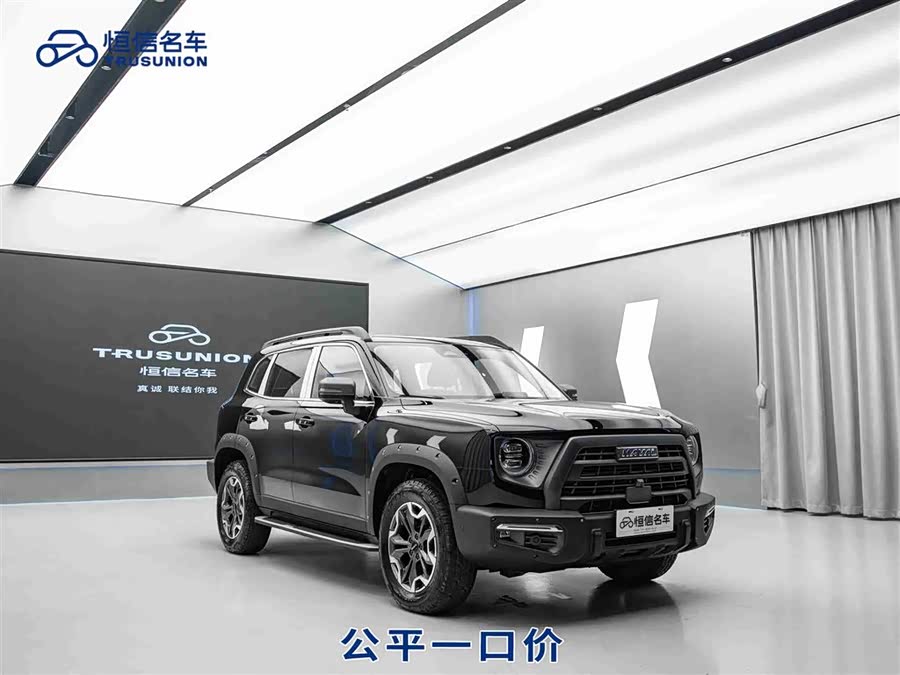 Haval X Dog / Dargo 2023 immagine di auto #2