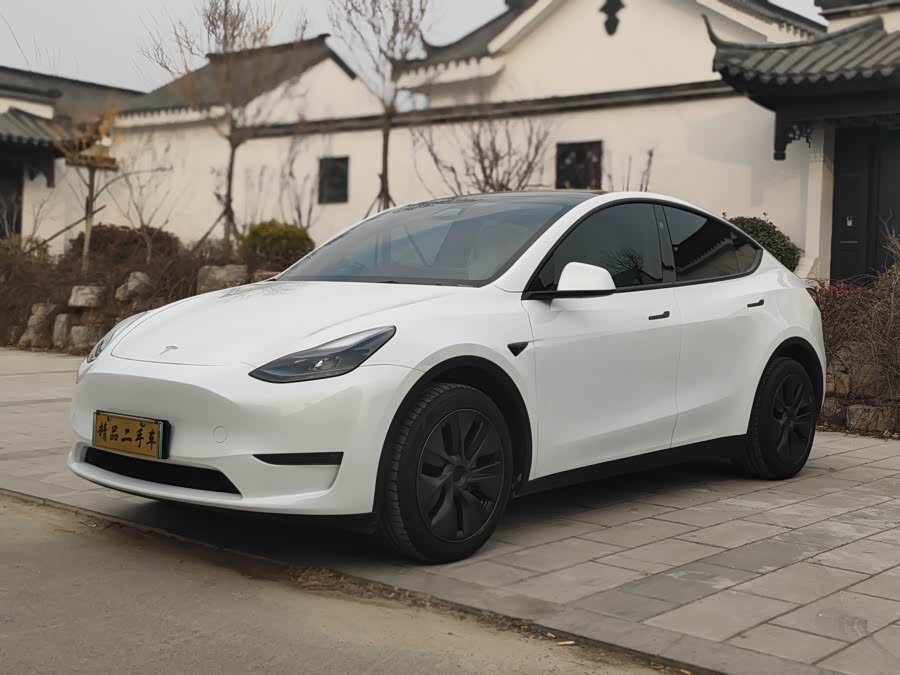 Tesla Model Y 2024 car image #2