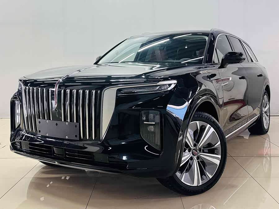 HongQi E-HS9 2023 image de voiture #2