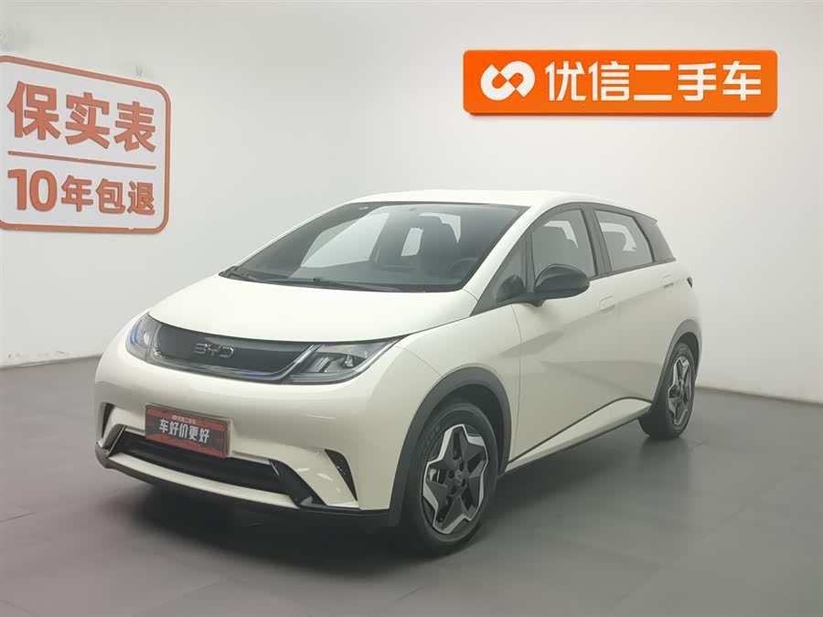 BYD Dolphin 2024 #2 BYD Dolphin 2024 car image #2