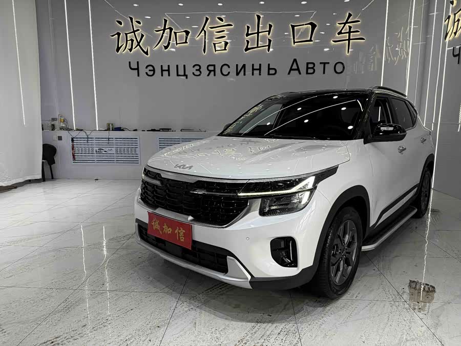 Kia Seltos 2023 imagen de coche #2