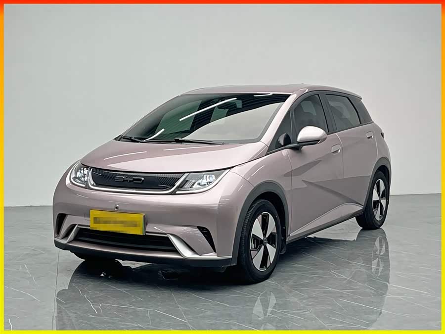 BYD Dolphin 2023 immagine di auto #2