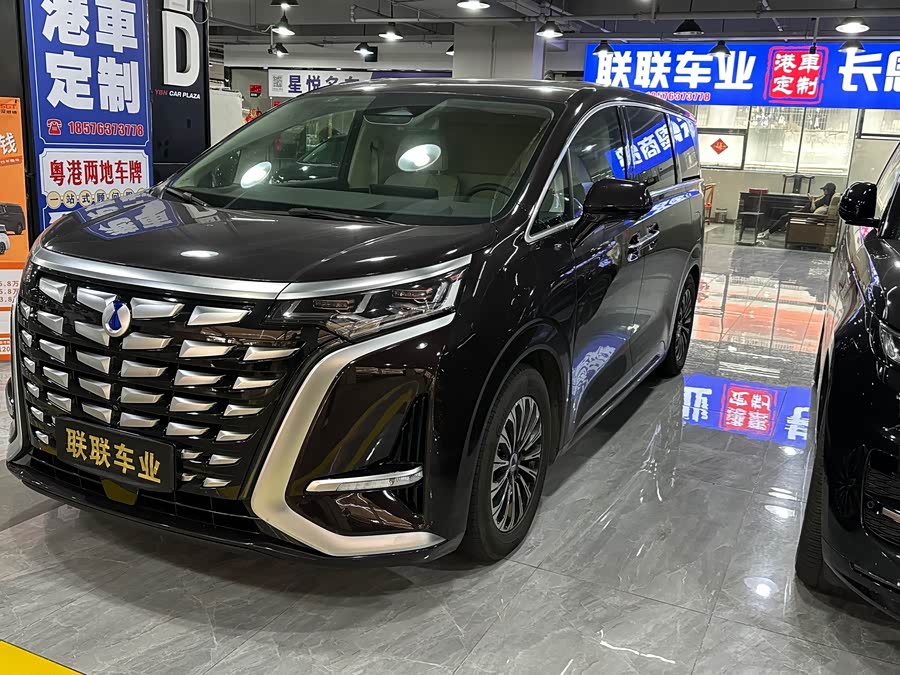 Denza D9 2024 imagen de coche #2